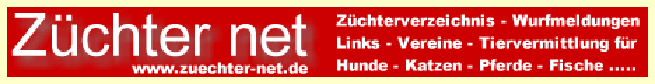 znet-logo a